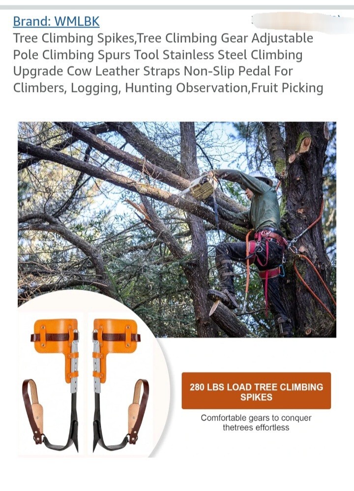 Tree Climbing Spurs Steel