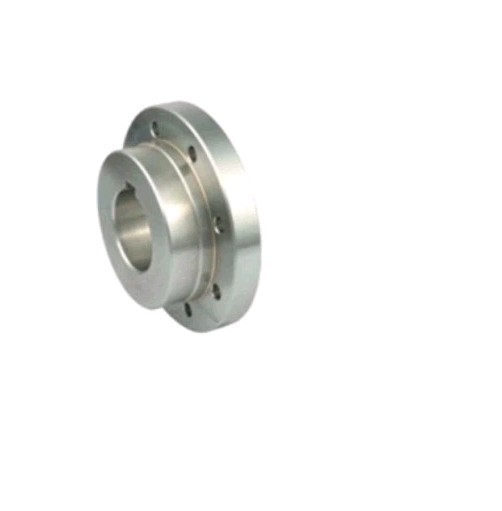 Falk 1010G Hub Rigid 1203680