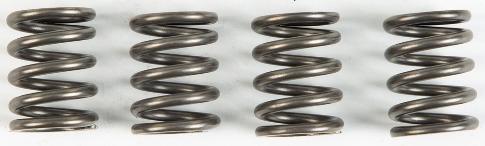 EBC CSK Clutch Spring Kit | CSK147