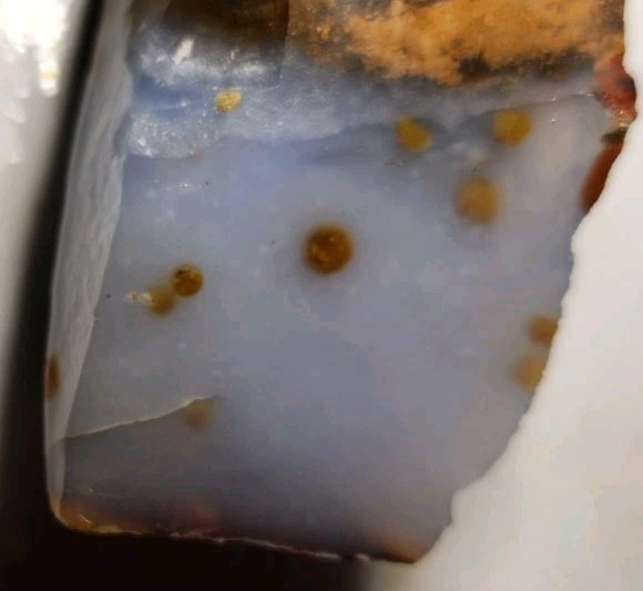 💙 AAA Quality Blue Ice Polka Dot Agate Rough, From Oregon. (237 grams)