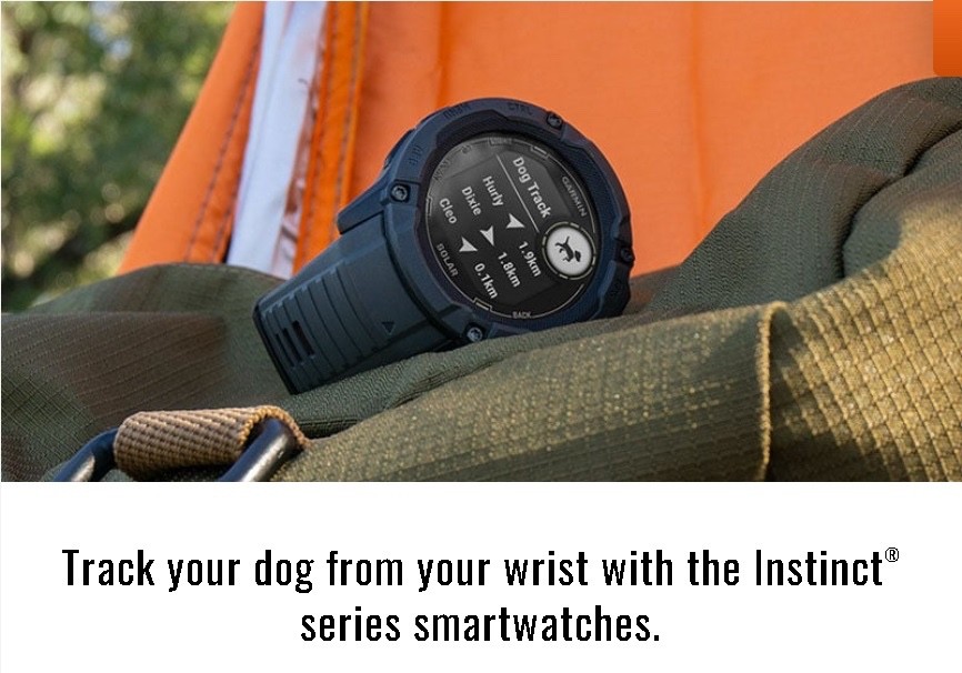 Garmin Alpha LTE Hiking Hunting Dog Tracker