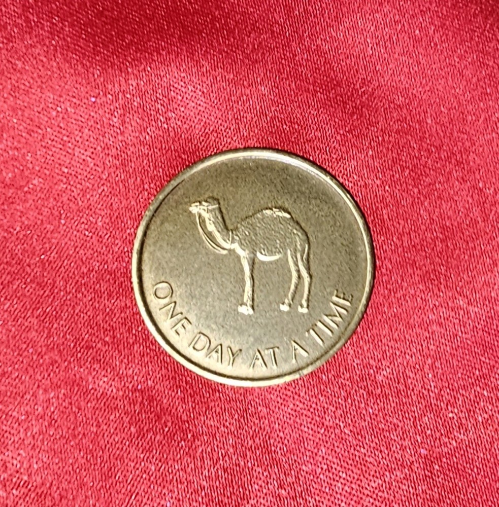 One Day At a Time AA Camel Brass Coin