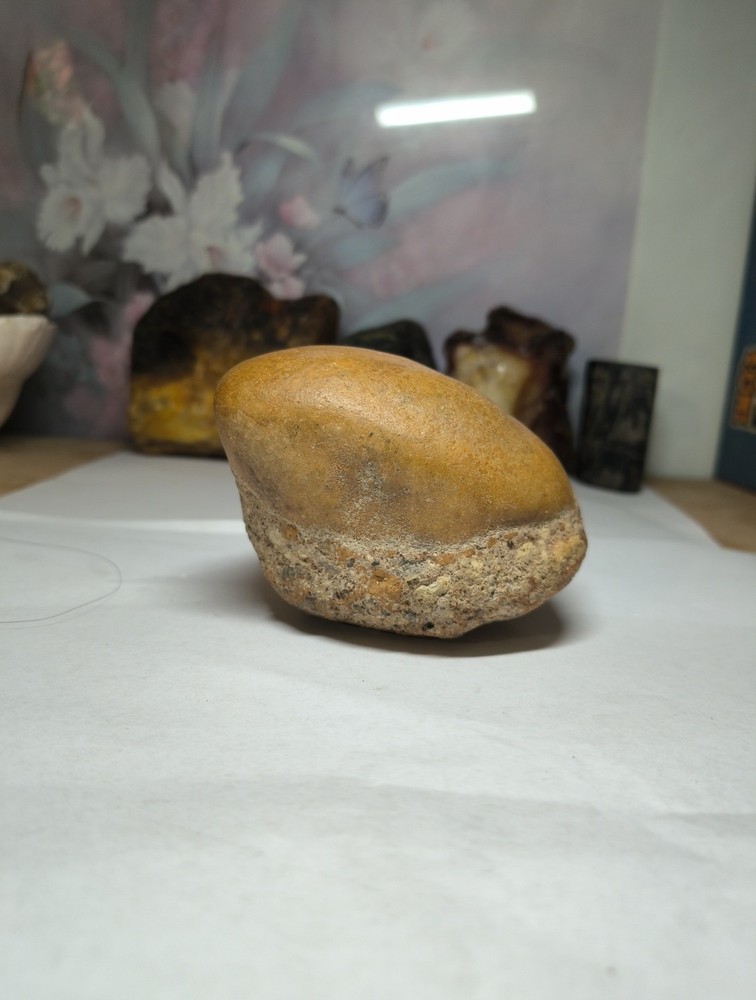 Egg Fossil possibly??? makes an interesting display piece
