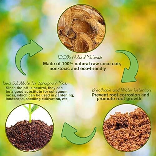 Expanding Coconut Coir Brick, 8-Pack Compressed and Lightweight for Planting