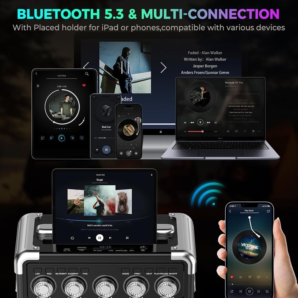 Karaoke Machine Audio with Microphone Portable Bluetooth Speaker Graduation Gift