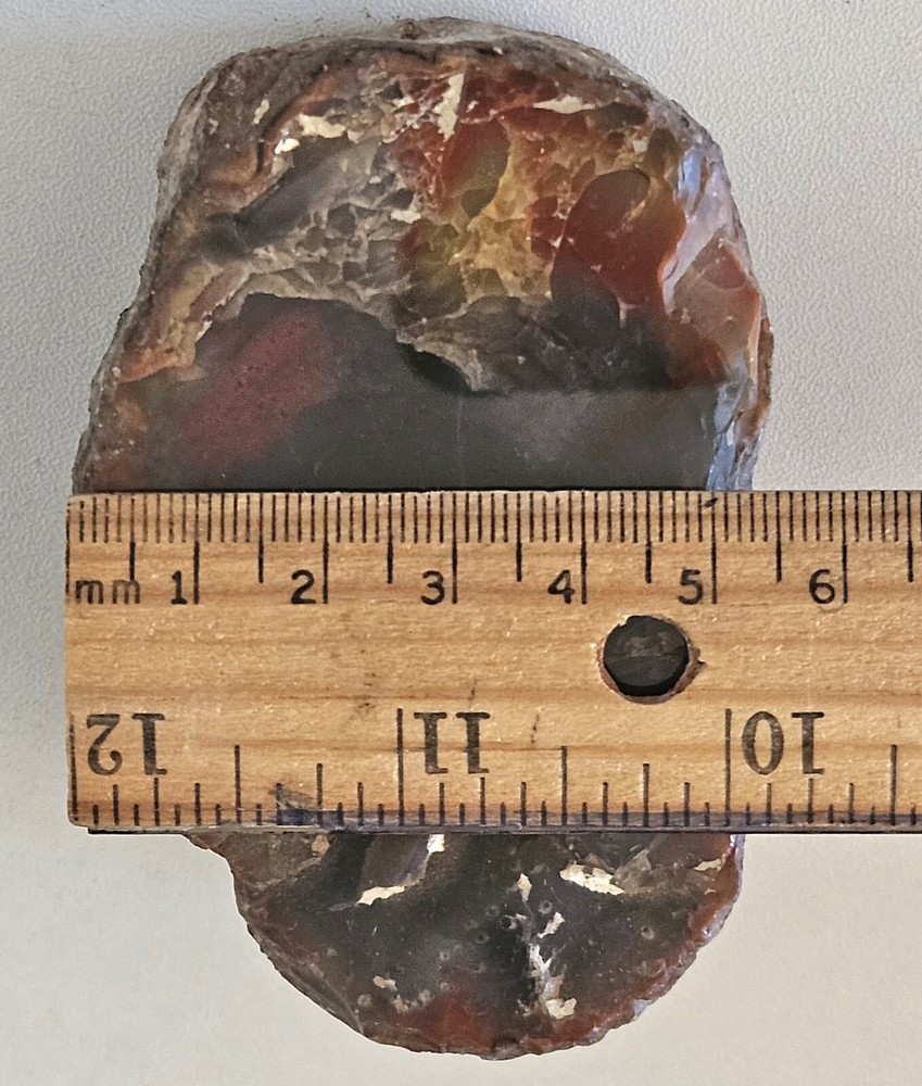 Yellow Cat Petrified Wood 306 Grams