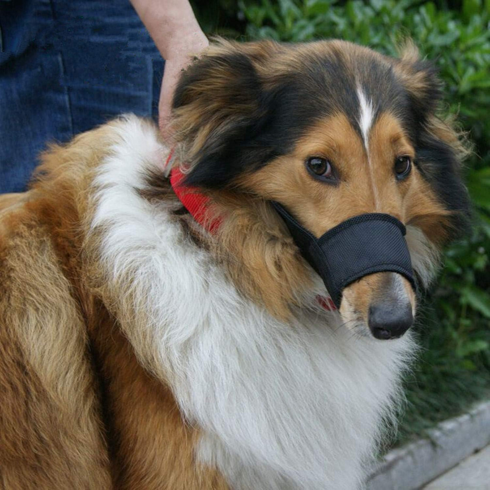 Dog Muzzles Suit - 7PCS Dog Muzzles Adjustable Quick Fit Pet Muzzle Prevent from