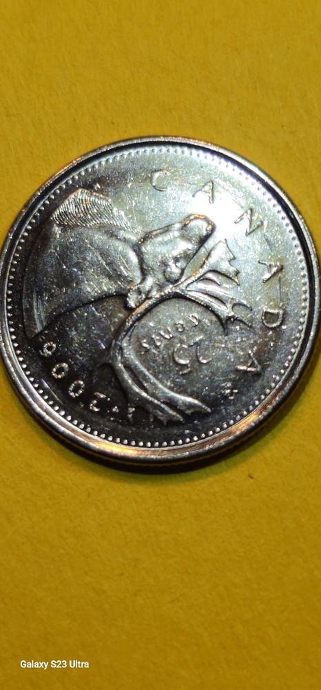 2006P Canada Quarter Dollar With Errors!