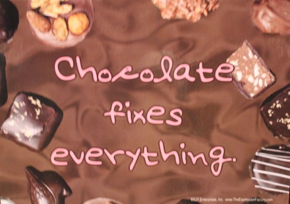 Waterproof  Magnet Chocolate fixes everything Made In USA  Fits Frame