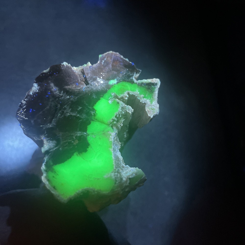Opalized Petrified Wood Specimen (NM)