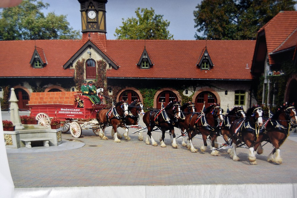 1992 Budweiser Beer Clydesdale Calendar Anheuser Busch Eagle Distributing