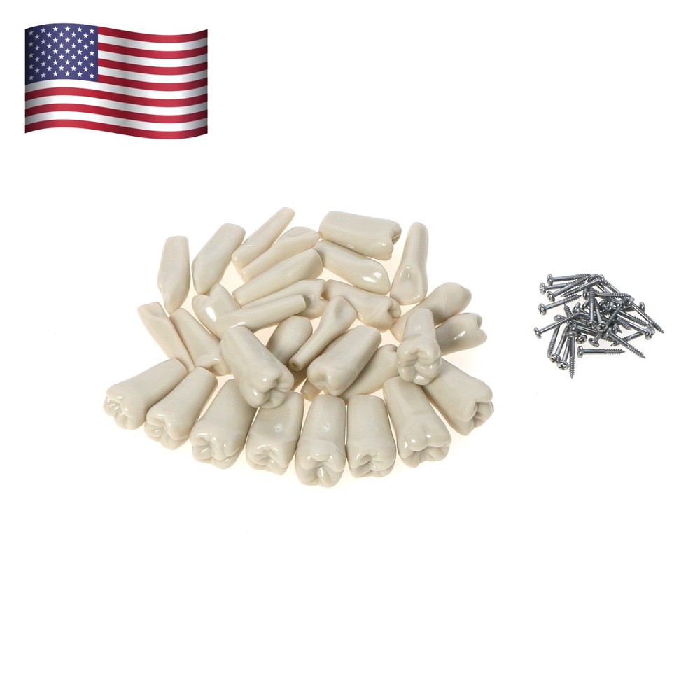 Columbia Dentoform 860 Dental Typodont 32PCS Teeth  Replacement Removable