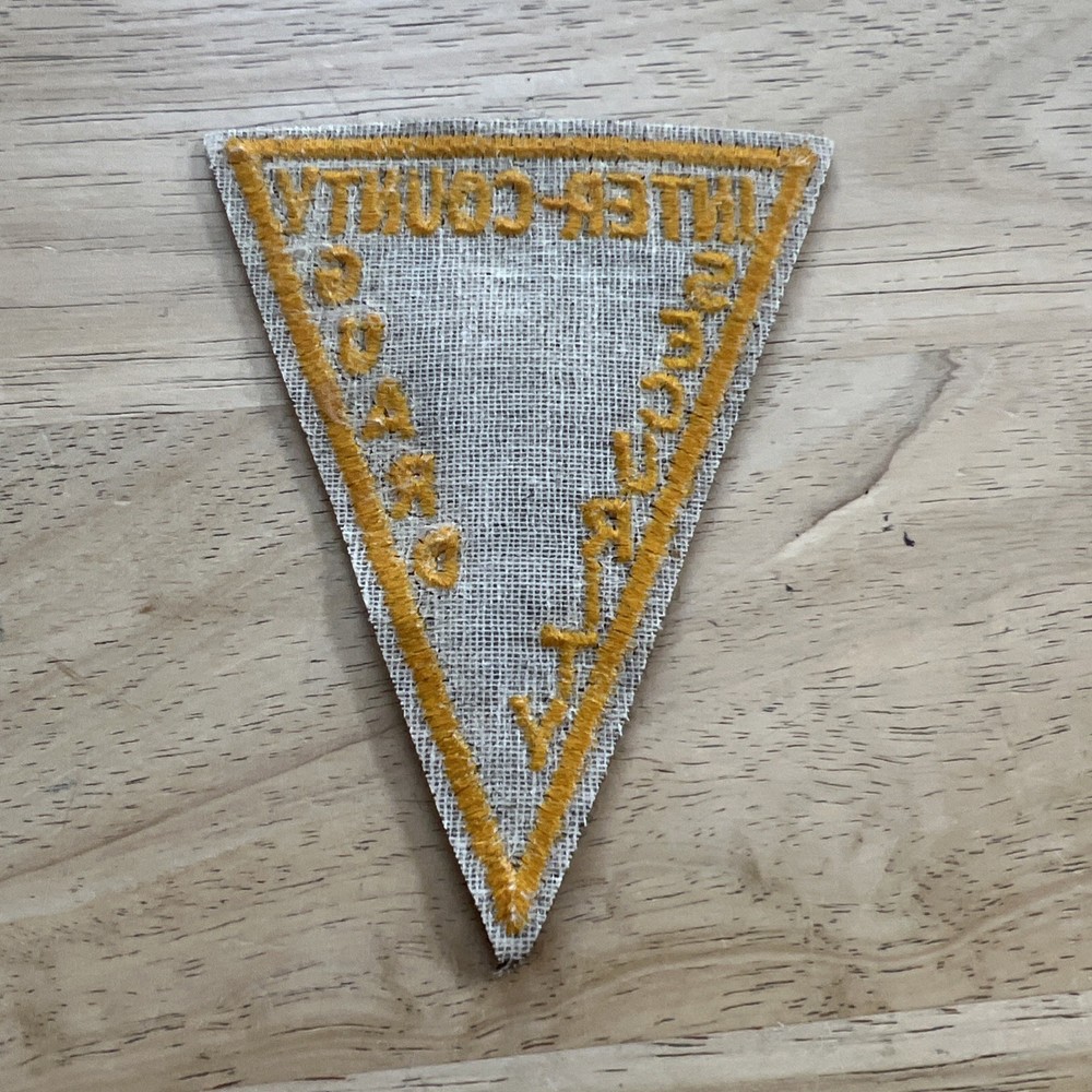 VTG Rare Inter-county Fla Security Guard Patch New