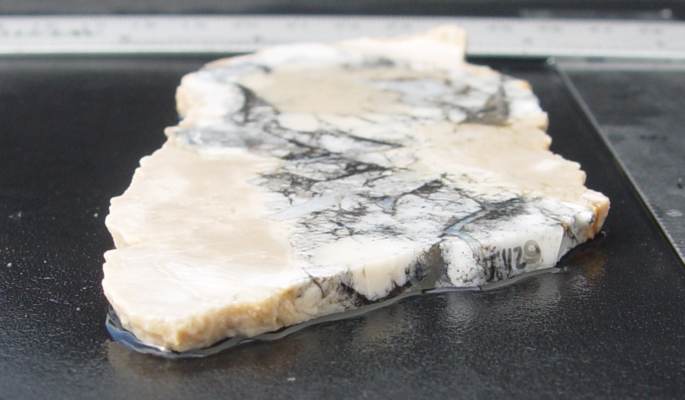 Cedar Ridge Dendritic Opal Lapidary Slab T1129