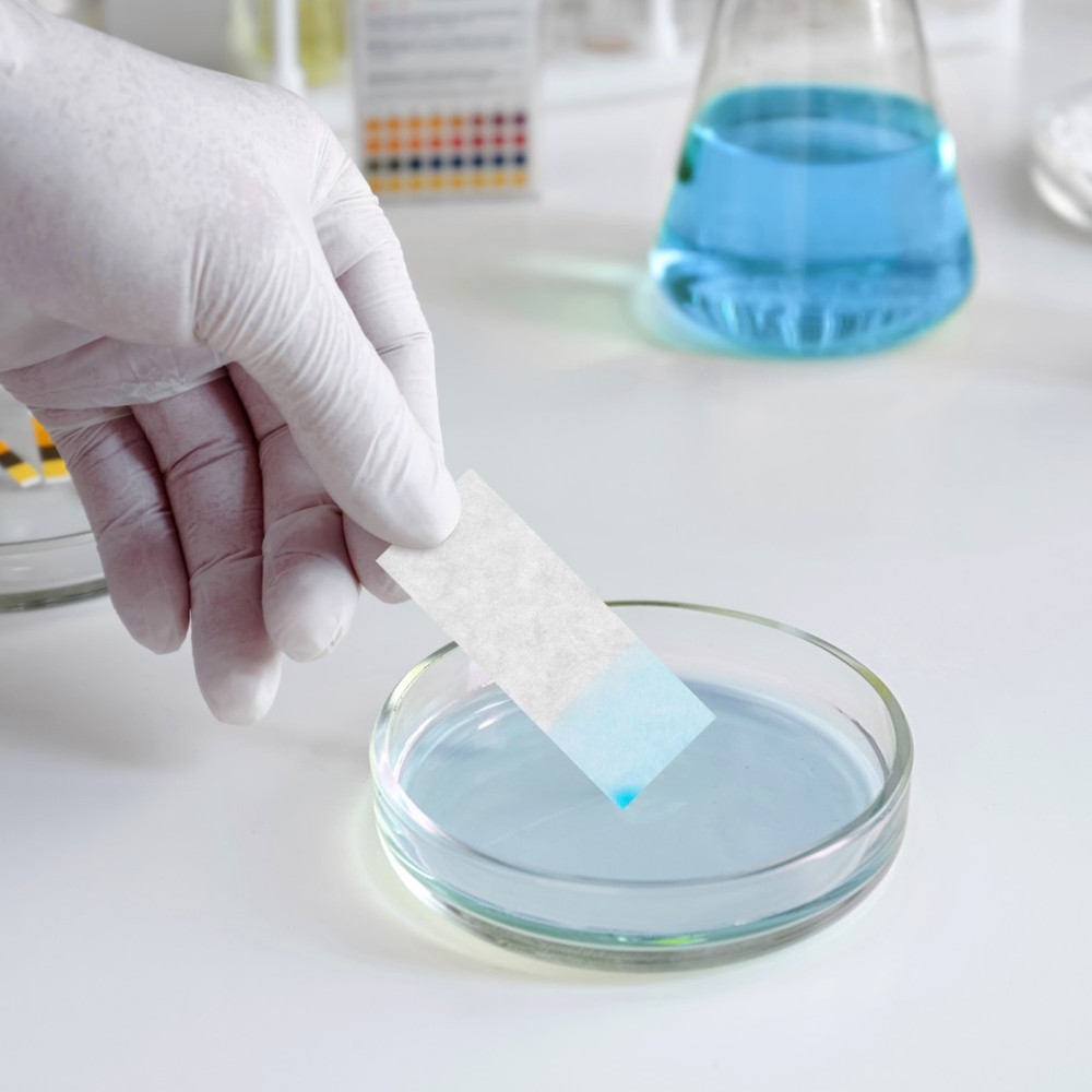 200 Pcs Chromatography Paper Strips Laboratory Filtration Filter