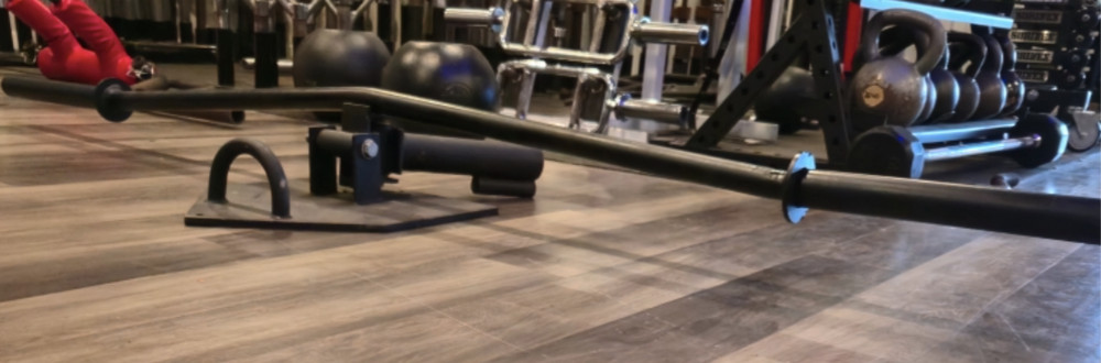 Sorinex | Ox Squat Bar