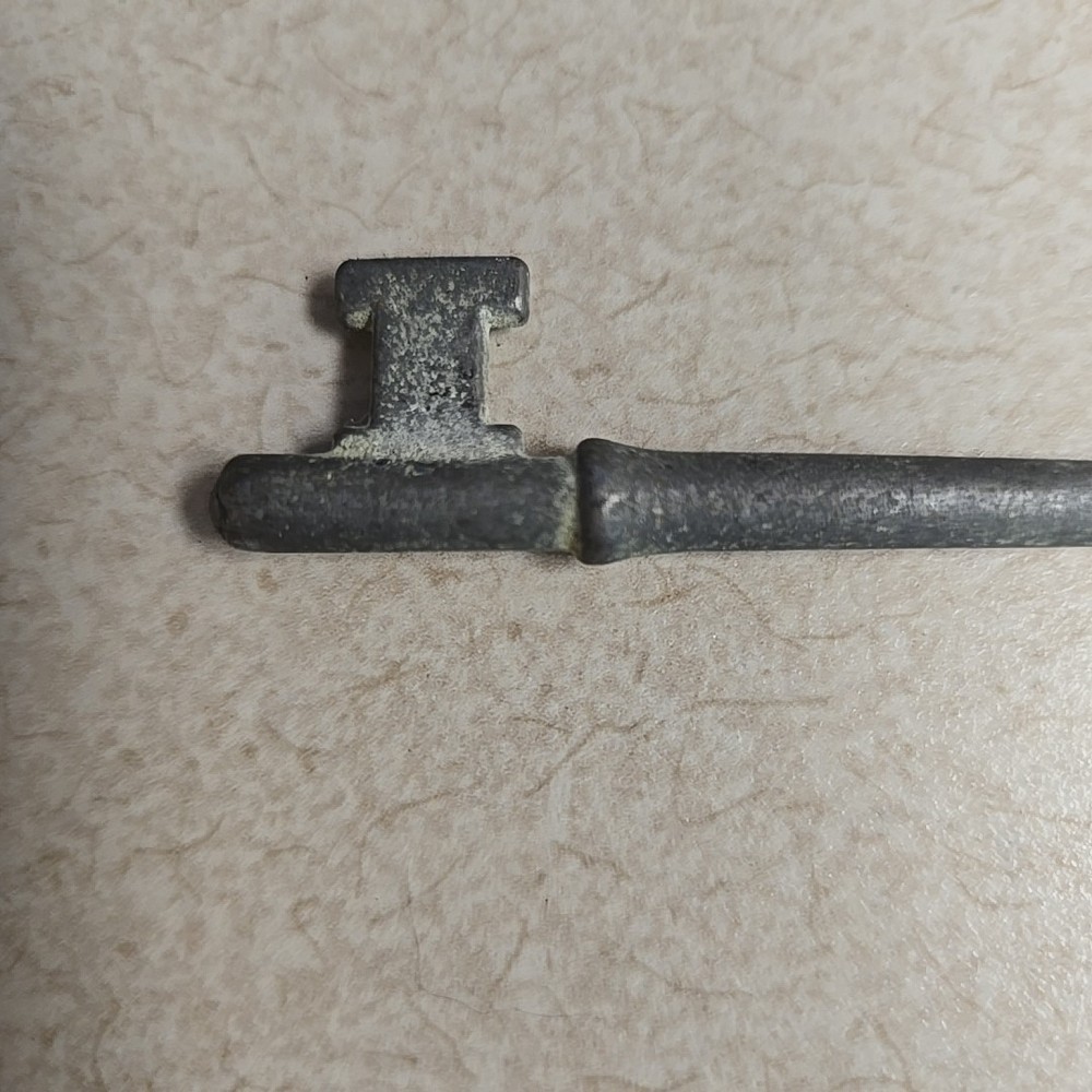 Vintage Skeleton Key