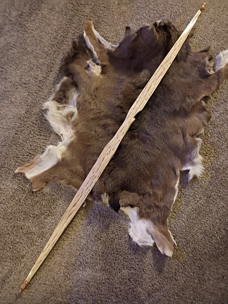 American Flatbow "Barn Owl"🦉