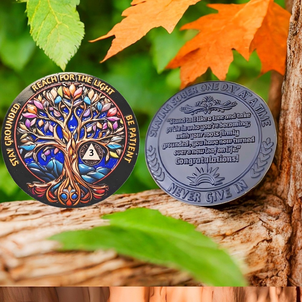🔥3 Year AA Sobriety Coin, Super 3D Alcoholics Anonymous Token Three Years Sober