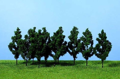 HEKI,10 poplar trees 9 cm, , HEK1220