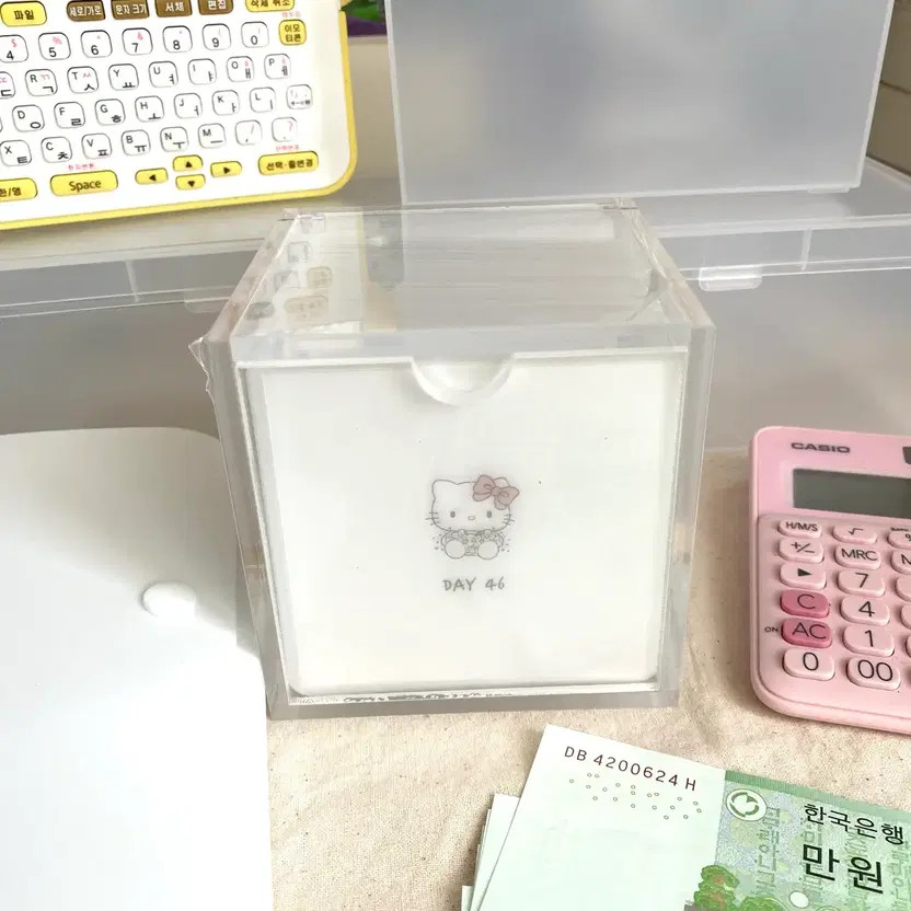 Kitty 100-Day Savings Challenge + Saving Box