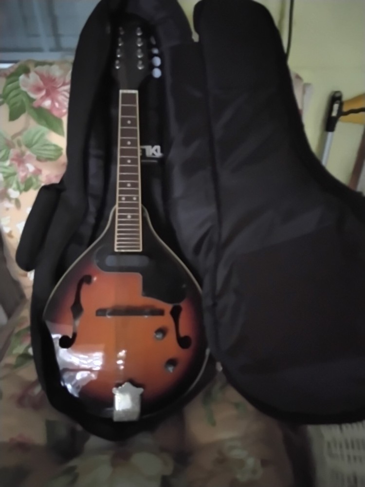 yamaha acoustic electric mandolin
