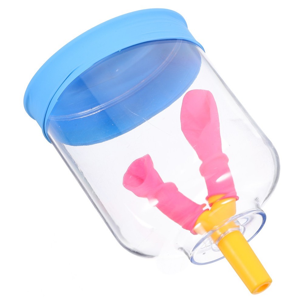 Lung Demonstration Model Function Teaching Aid