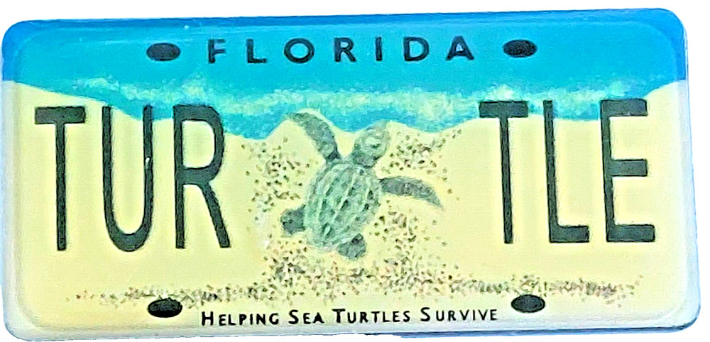 Turtle License Plate "Helping Sea Turtle Survive" Florida Lapel Pin