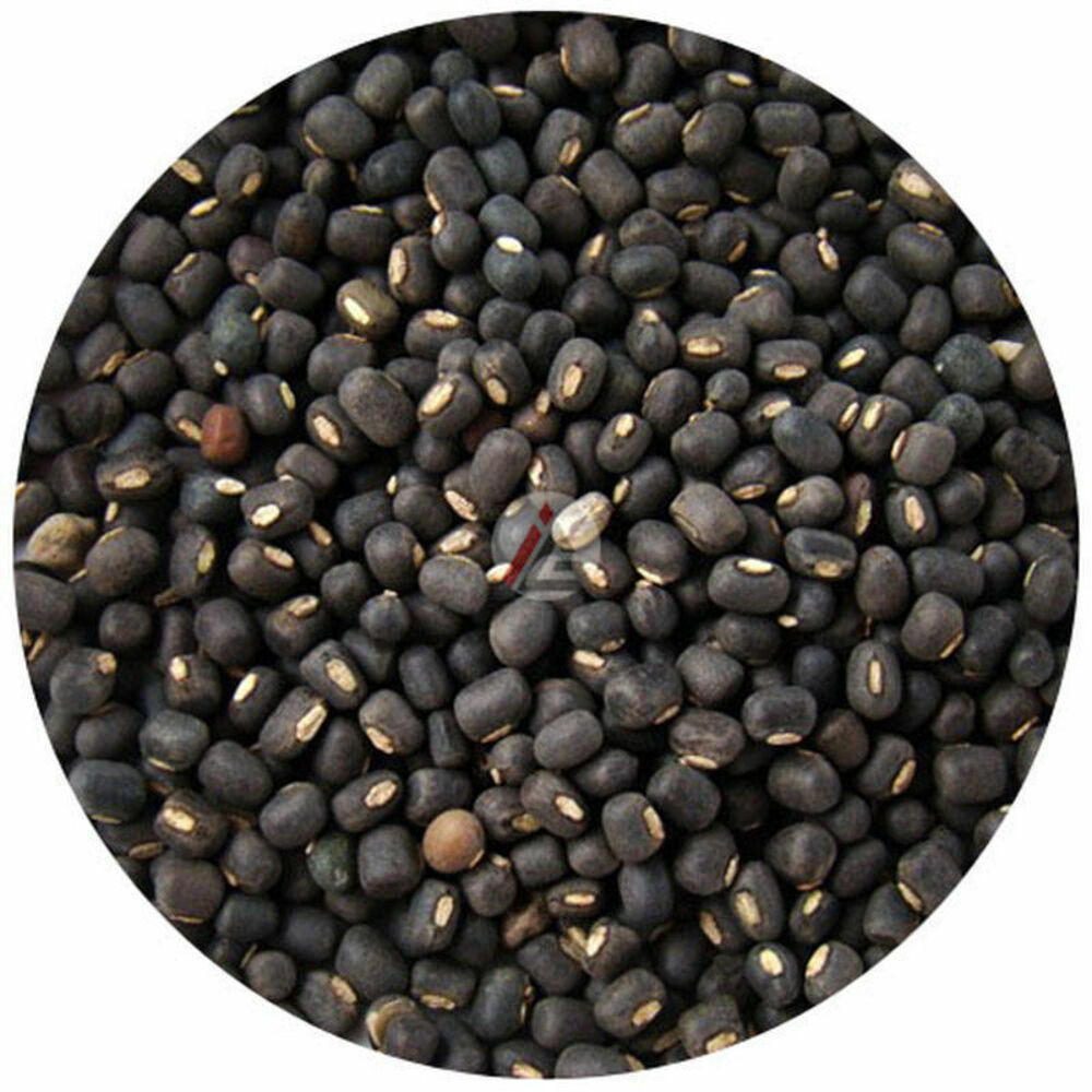 Whole Black Lentils or Urad Whole - 450 gm