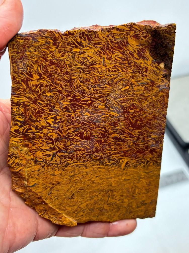 Script Stone Jasper Slab Cabbing Lapidary Collecting Combo Ship Avail