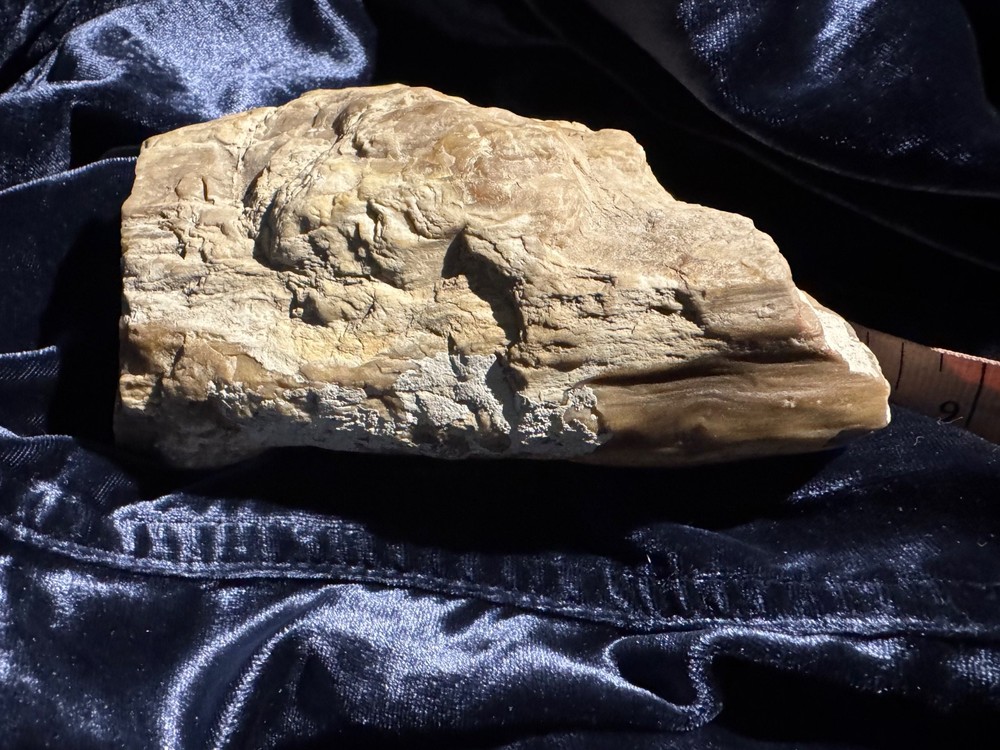 Petrified Opalized Wood Specimen Natural Form