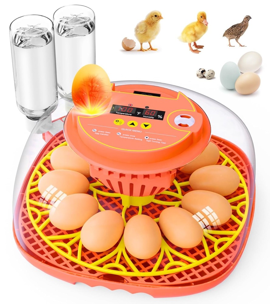 12 Egg Incubator Automatic Temperature Humidity Control Hatching Machine