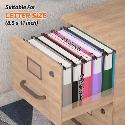 Extra Capacity Plastic Hanging File Folders,12 Pack Reinforced Assorted Colors