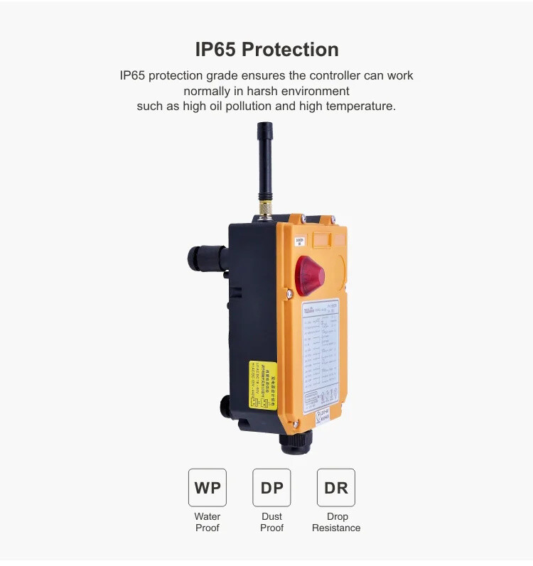 F24-12S 2 transmitters 12 Twelve Single Speed Button Remote Control for Crane