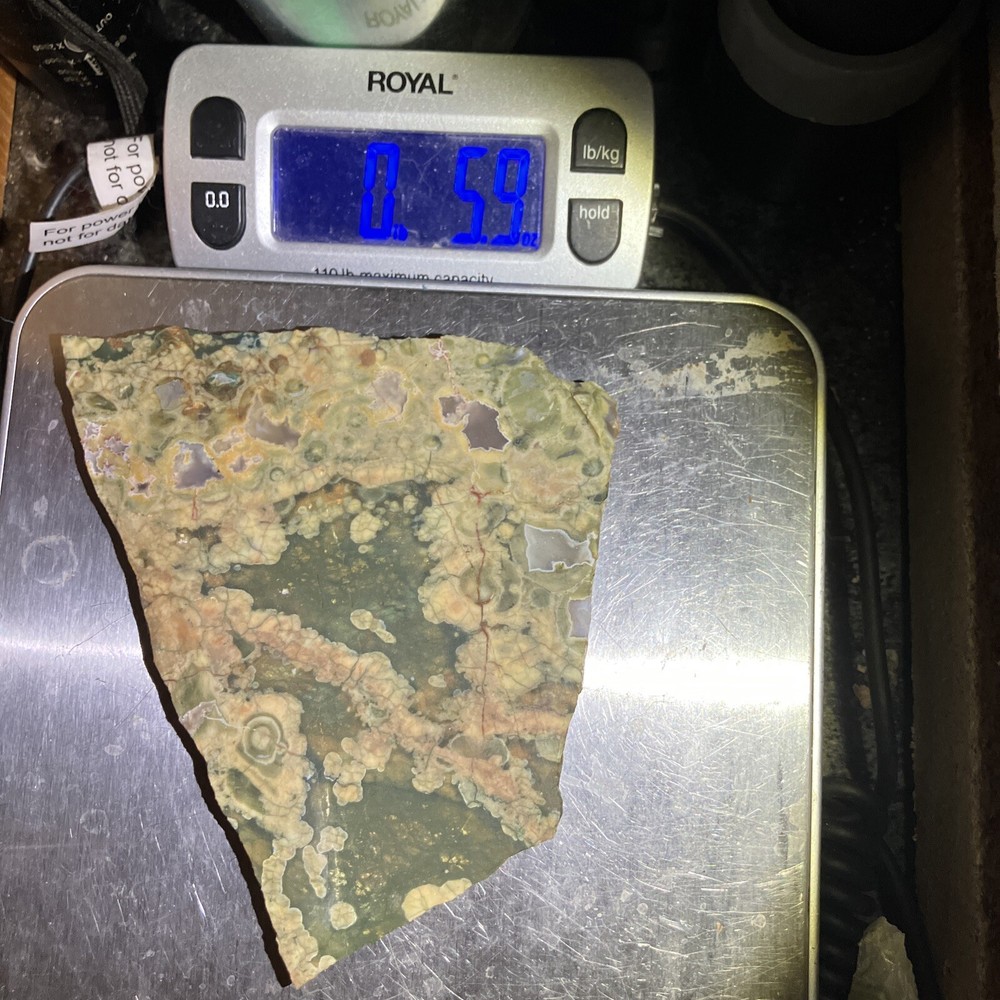 Rainforest Jasper Slab