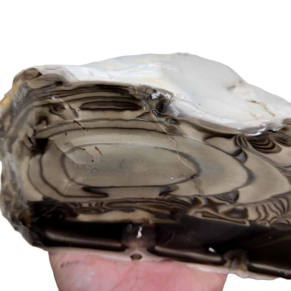 RARE Polish Flint Orbicular Rough Chunk!