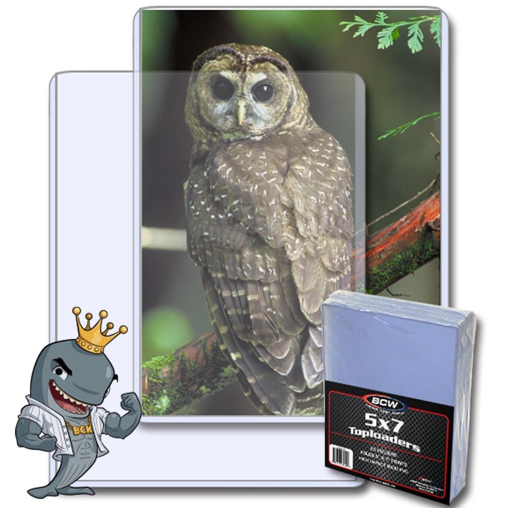BCW 5x7 Topload Holder 25ct Pack FREE SHIP