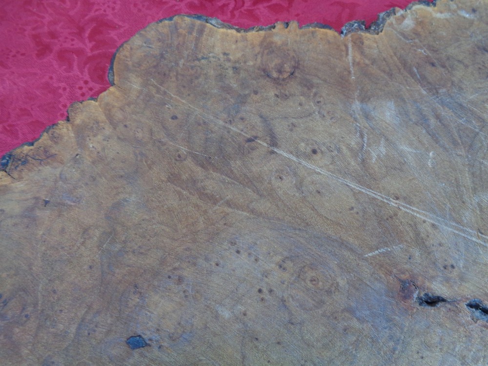 Burlwood Tree Slice #7