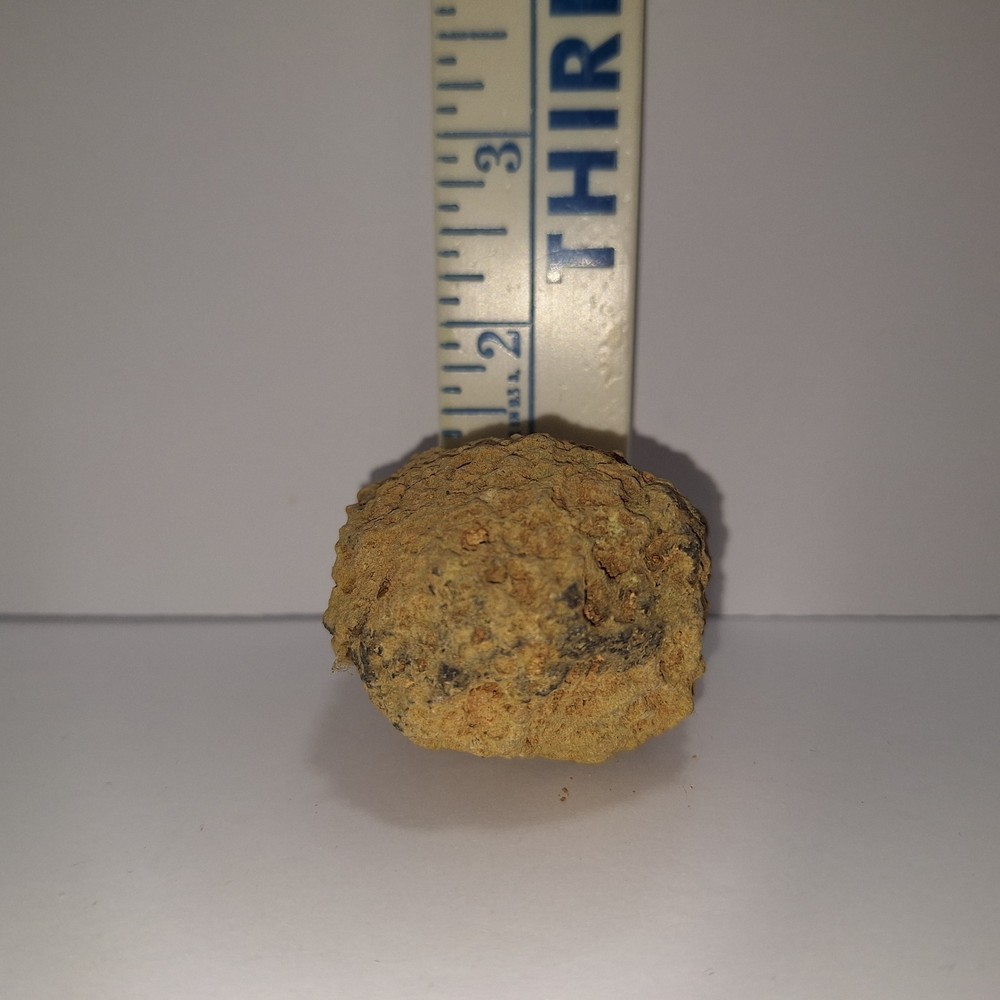 igneous rock
