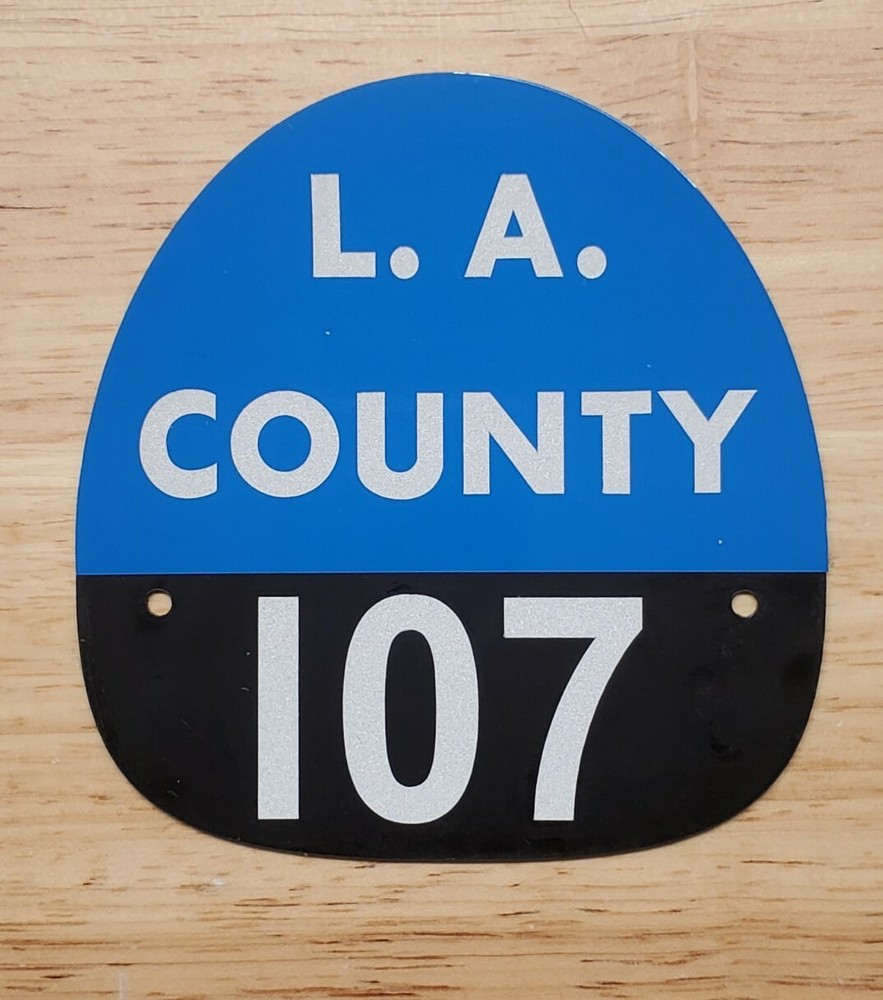 LA COUNTY 107  FIRE HELMET SHIELD