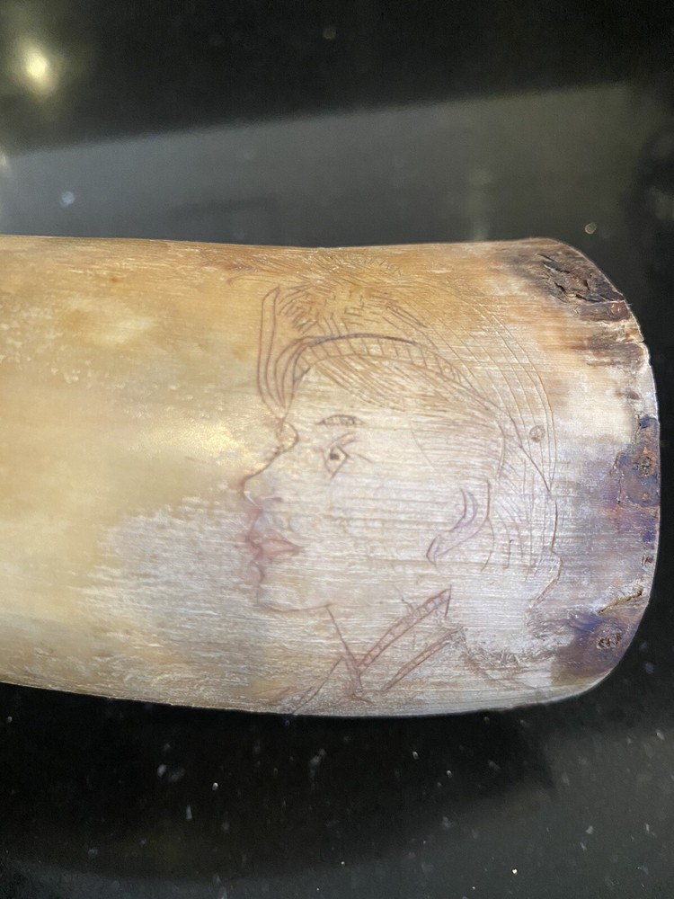 Powder Horn-NMLRA- Black Powder Muzzleloader