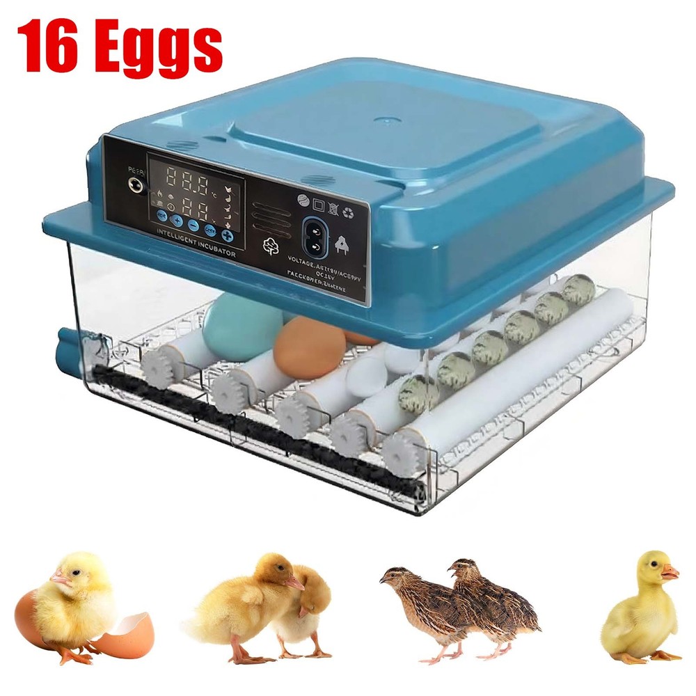 Automatic Egg Incubator 16/36 Eggs Digital Poultry Hatcher Machine Dual Power