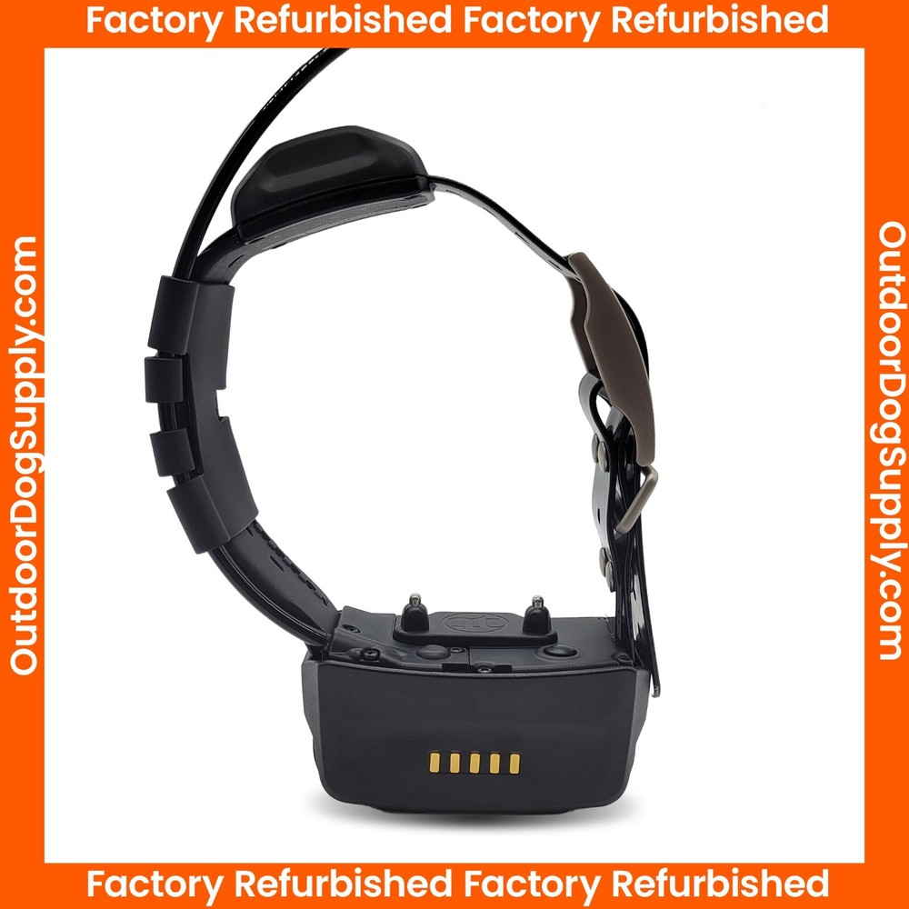 Garmin TT15X Collar with Basic Garmin Strap