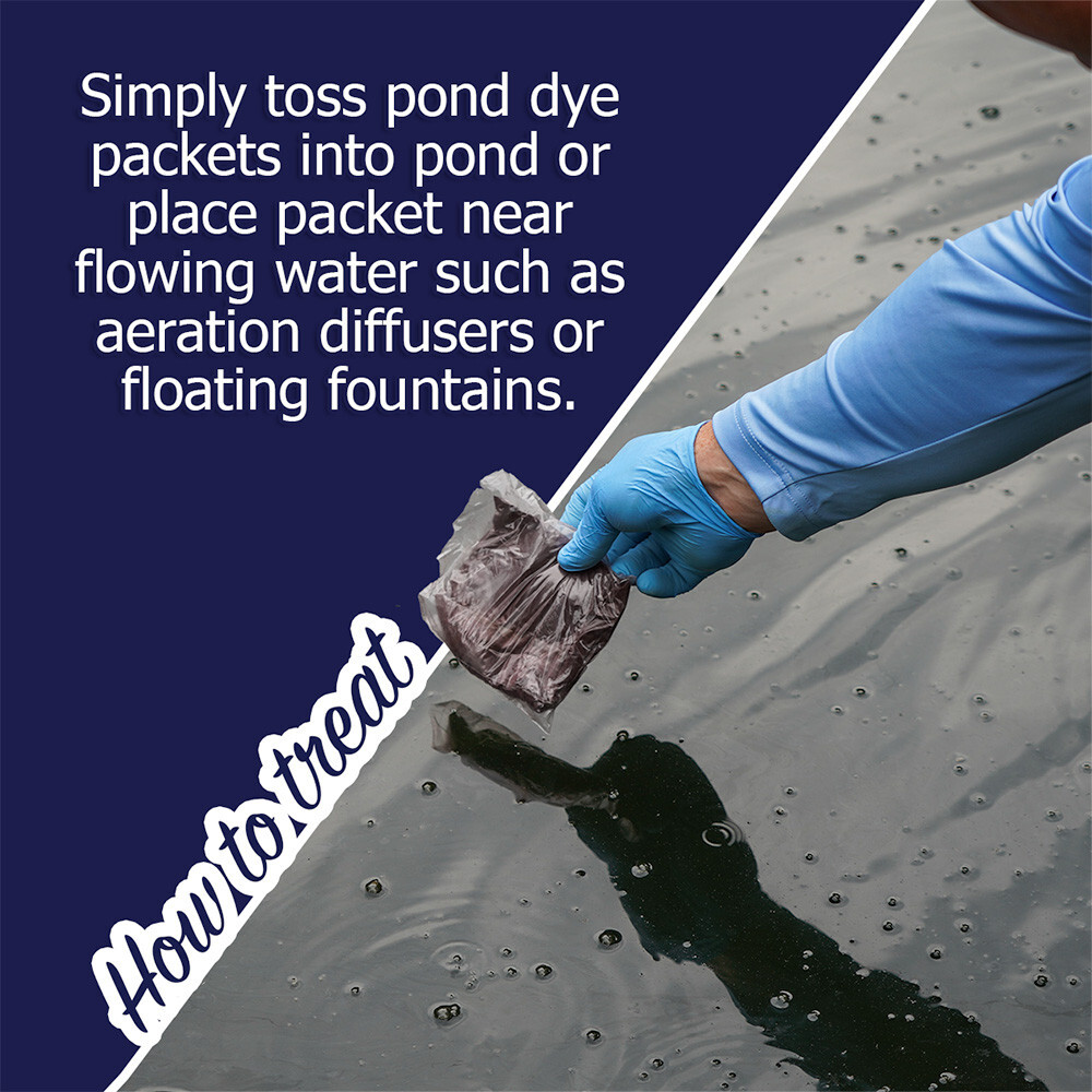 Vivid Blue Pond Dye Packets- 6 water soluble packets