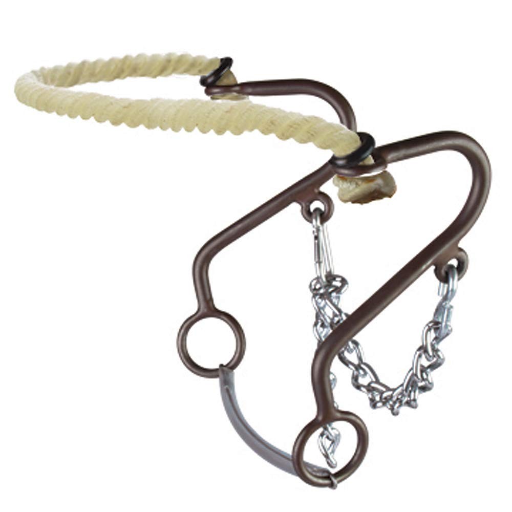 Westen at Rope Nose Little S Hackamore