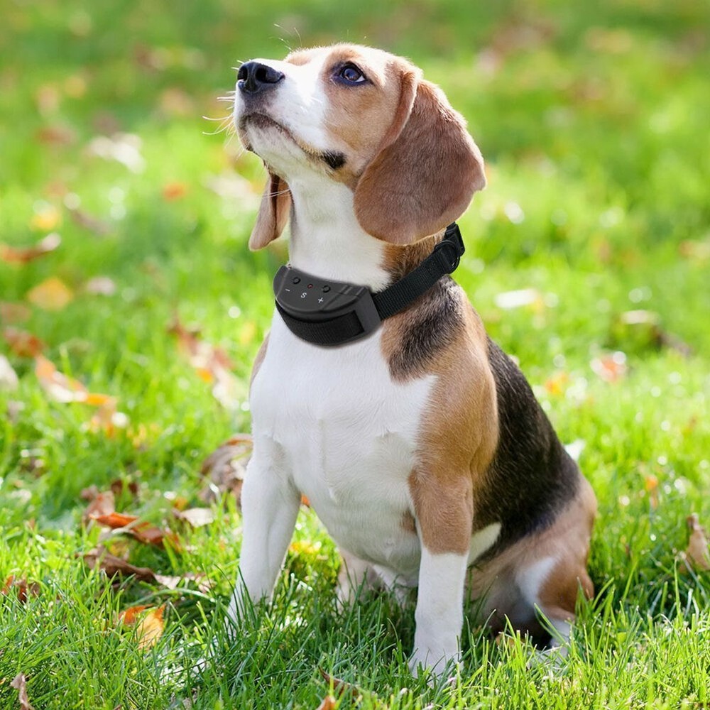 For Small Medium Large Dog Automatic Shock Control Collar No Barking Anti Bark