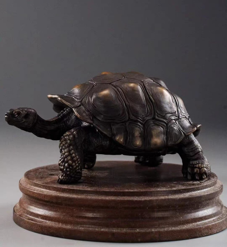 Bronze copper Galapagos Tortoise ornament Solid Artistic handcraft turtle smlz
