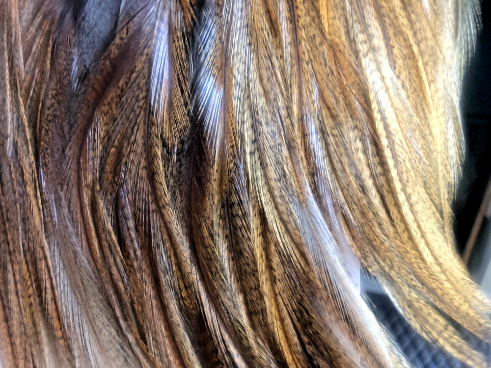 COQ DE LEON SADDLE FEATHERS - Ginger Pardo - 12 Per Pack -- NEW!