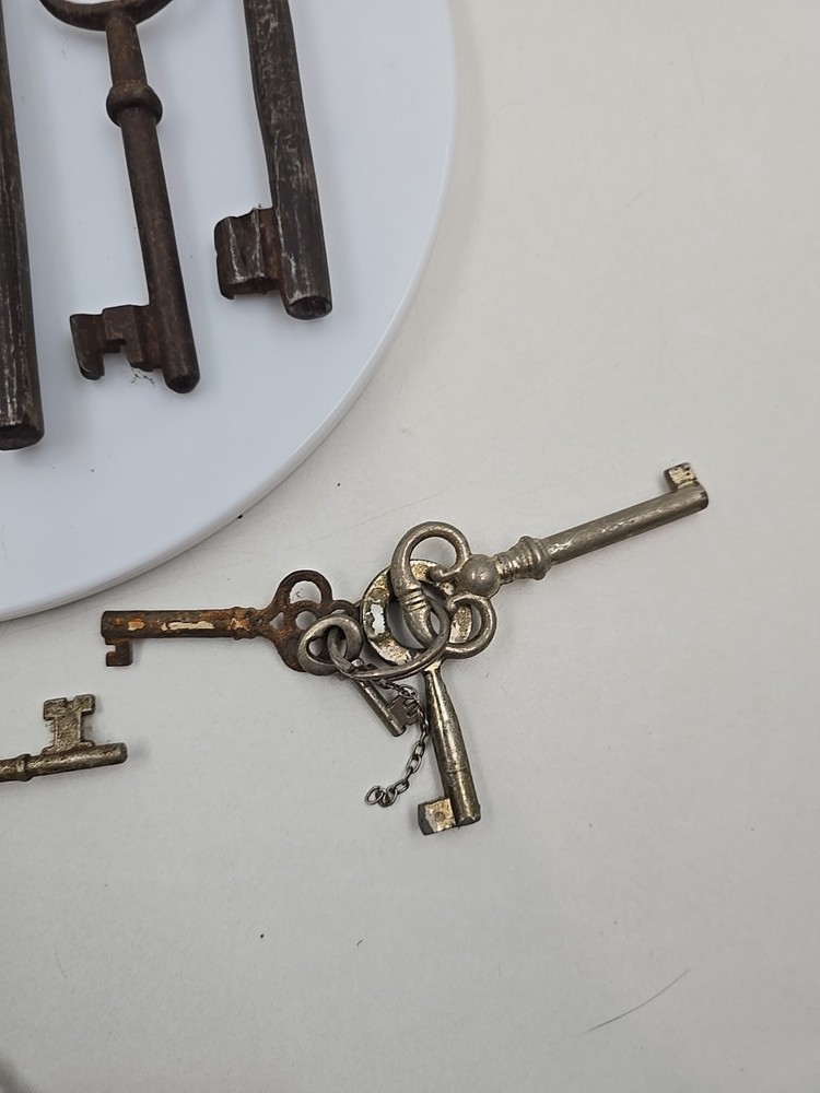 16 Skeleton Keys Various Styles And Sizes