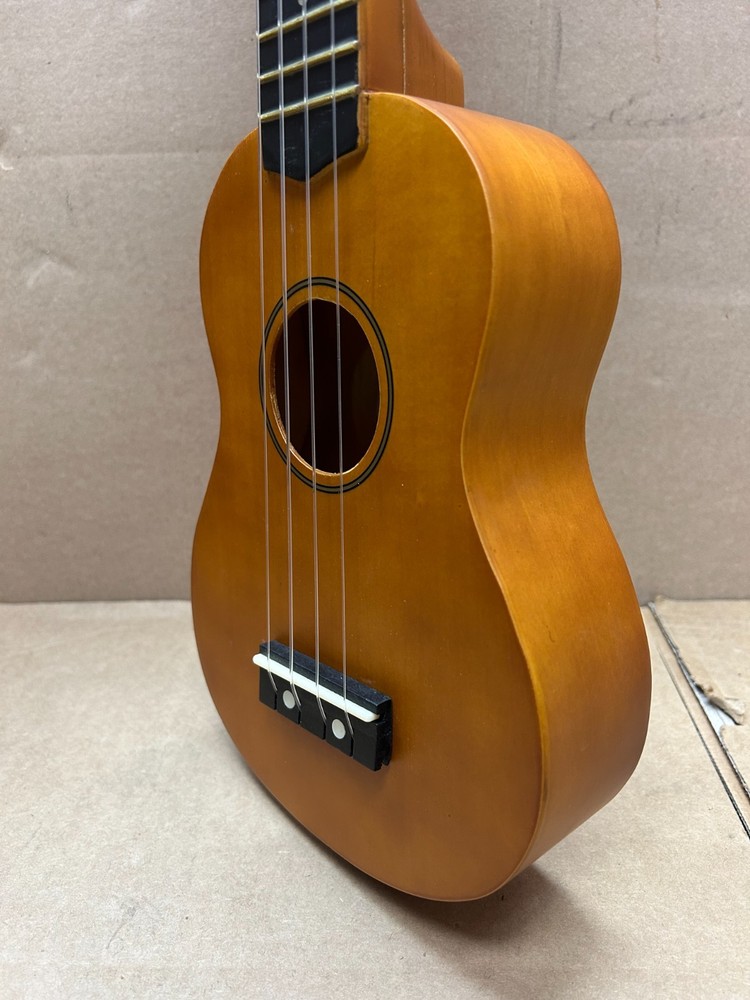 Teach Yourself To Play Ukelele Pack (Strings,Bag,Book)